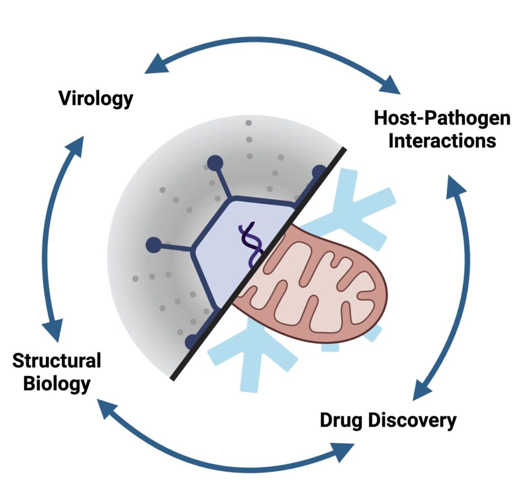 About Rafie Karim Laboratory